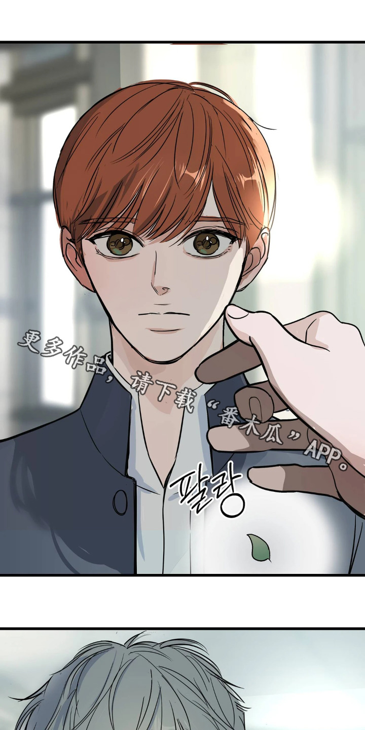 月亮和祖母绿漫画,第40章：我也不知道你想什么1图