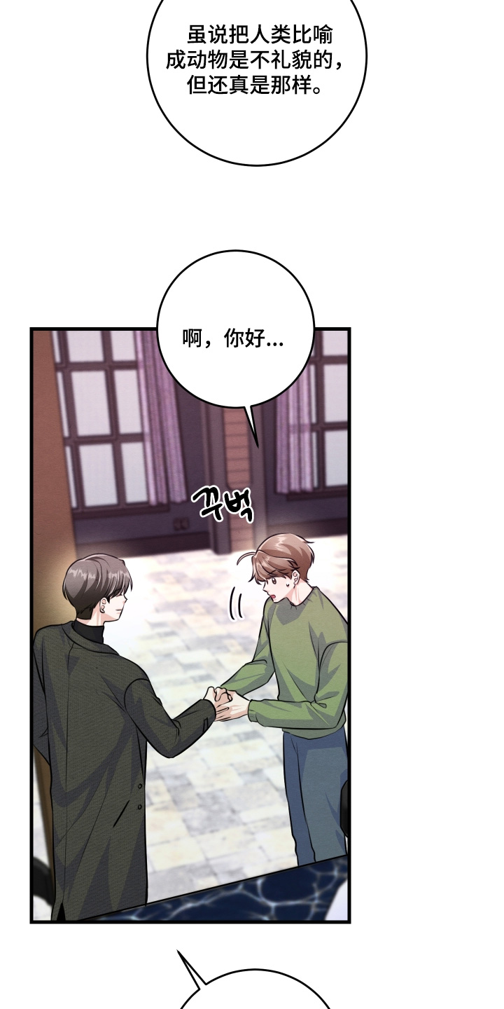 人渣退出作战模式漫画,第36章：确实眼熟2图