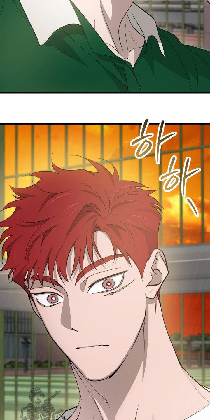 第12章：石头照片0