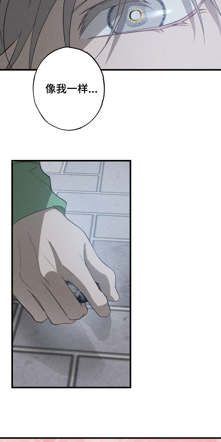 第20章：毁掉你的生活0