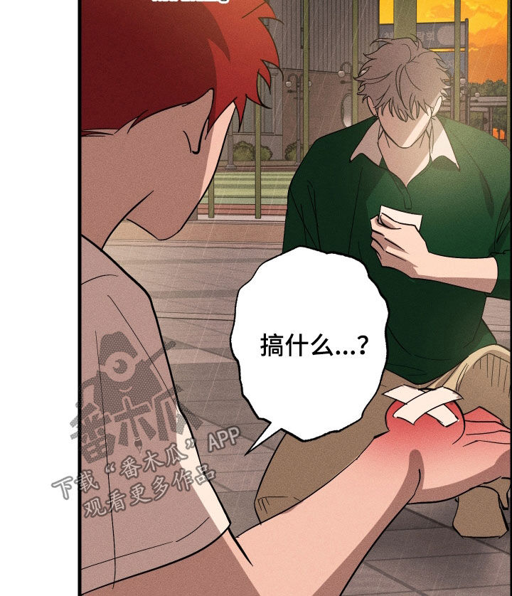 第12章：石头照片2