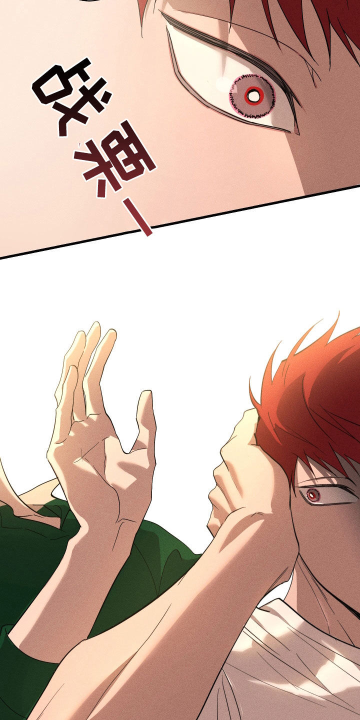 第12章：石头照片3