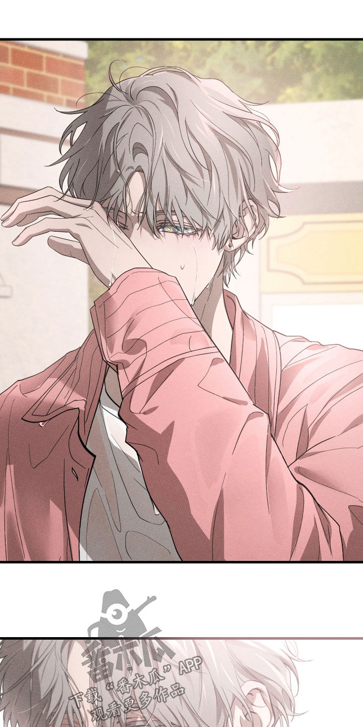 第15章：是爱情啊2