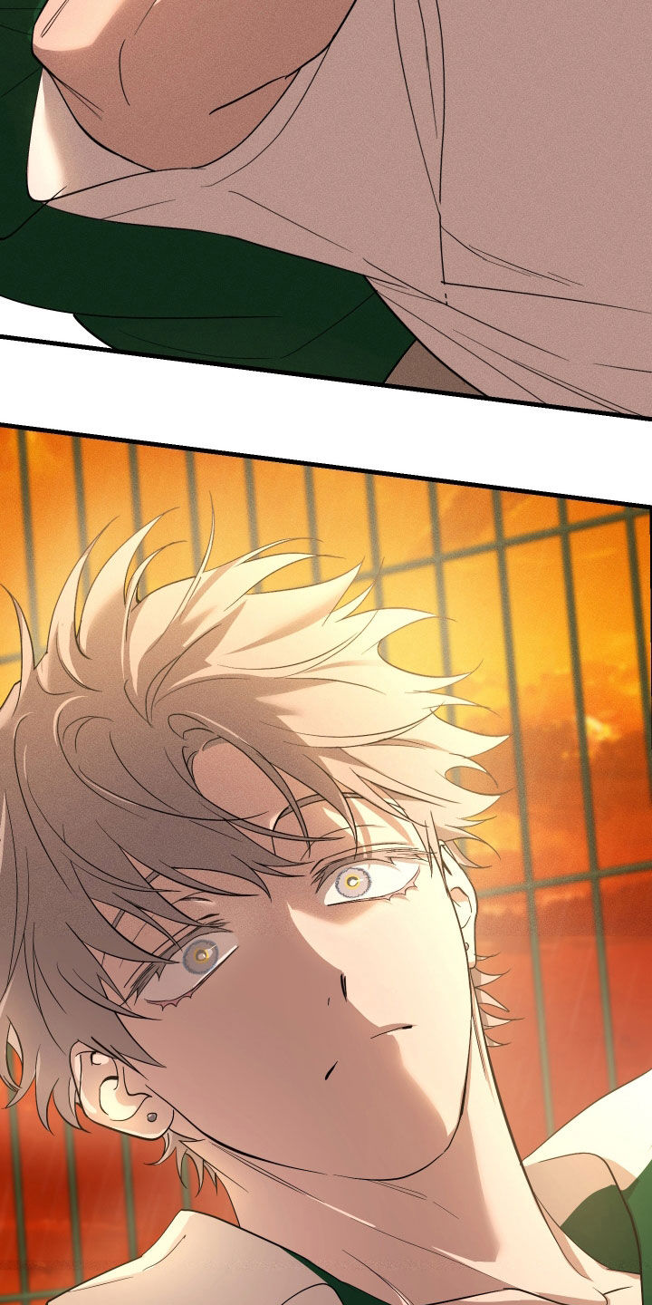 第12章：石头照片4