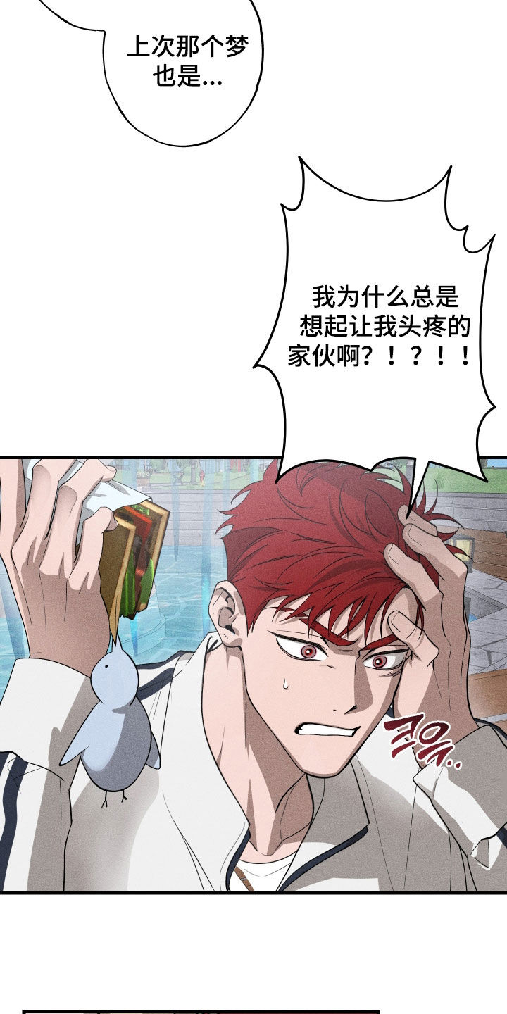 第15章：是爱情啊4