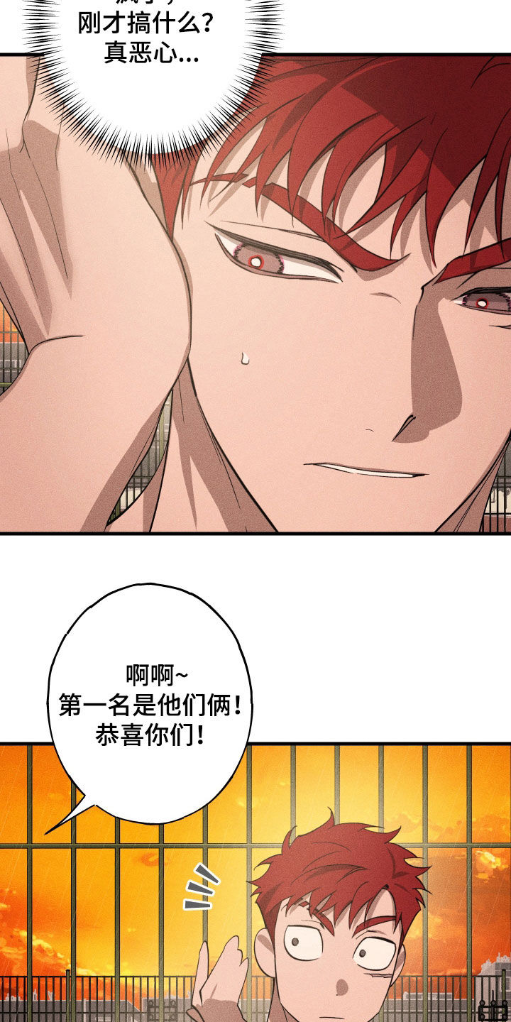 第12章：石头照片2