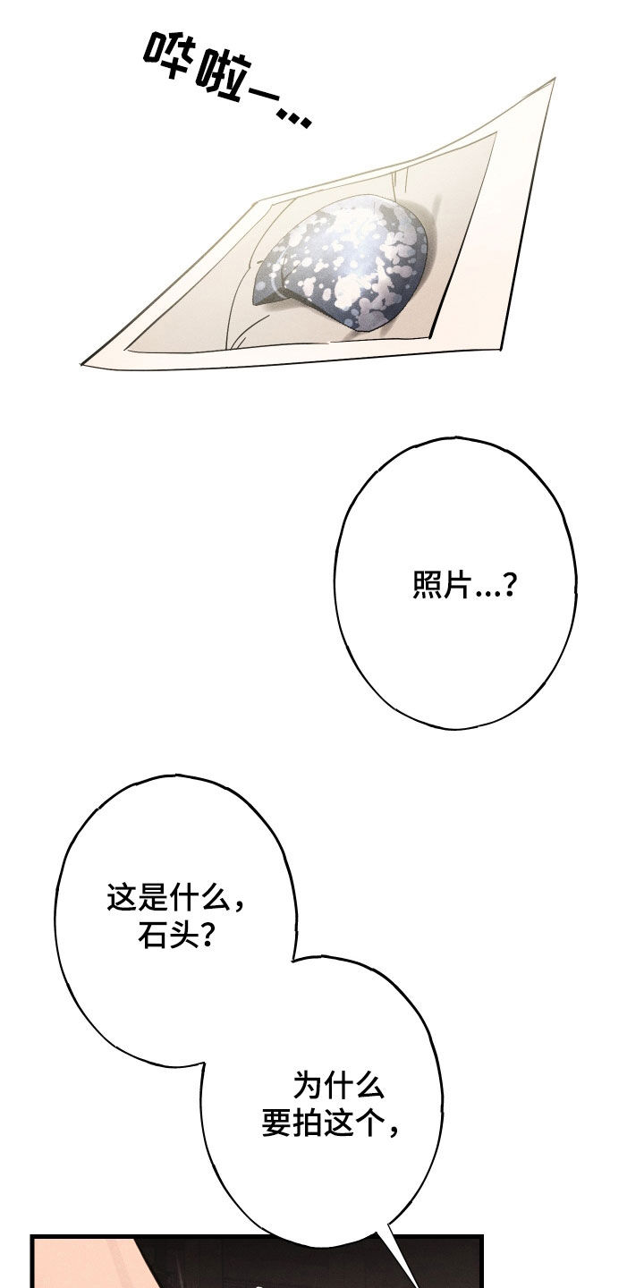 第12章：石头照片0