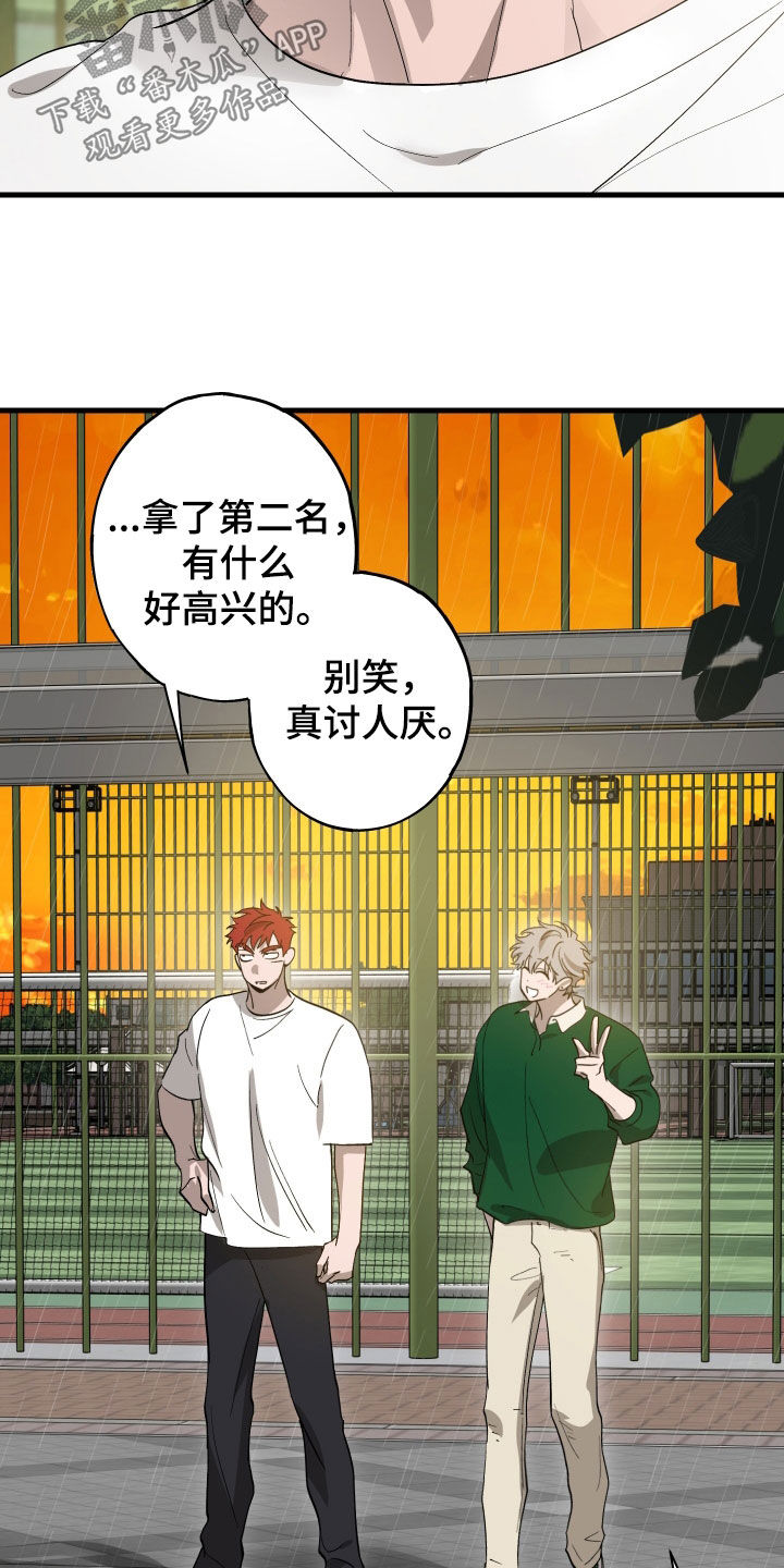 第12章：石头照片1