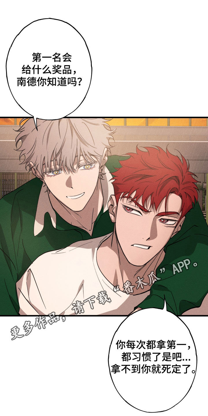 第12章：石头照片0