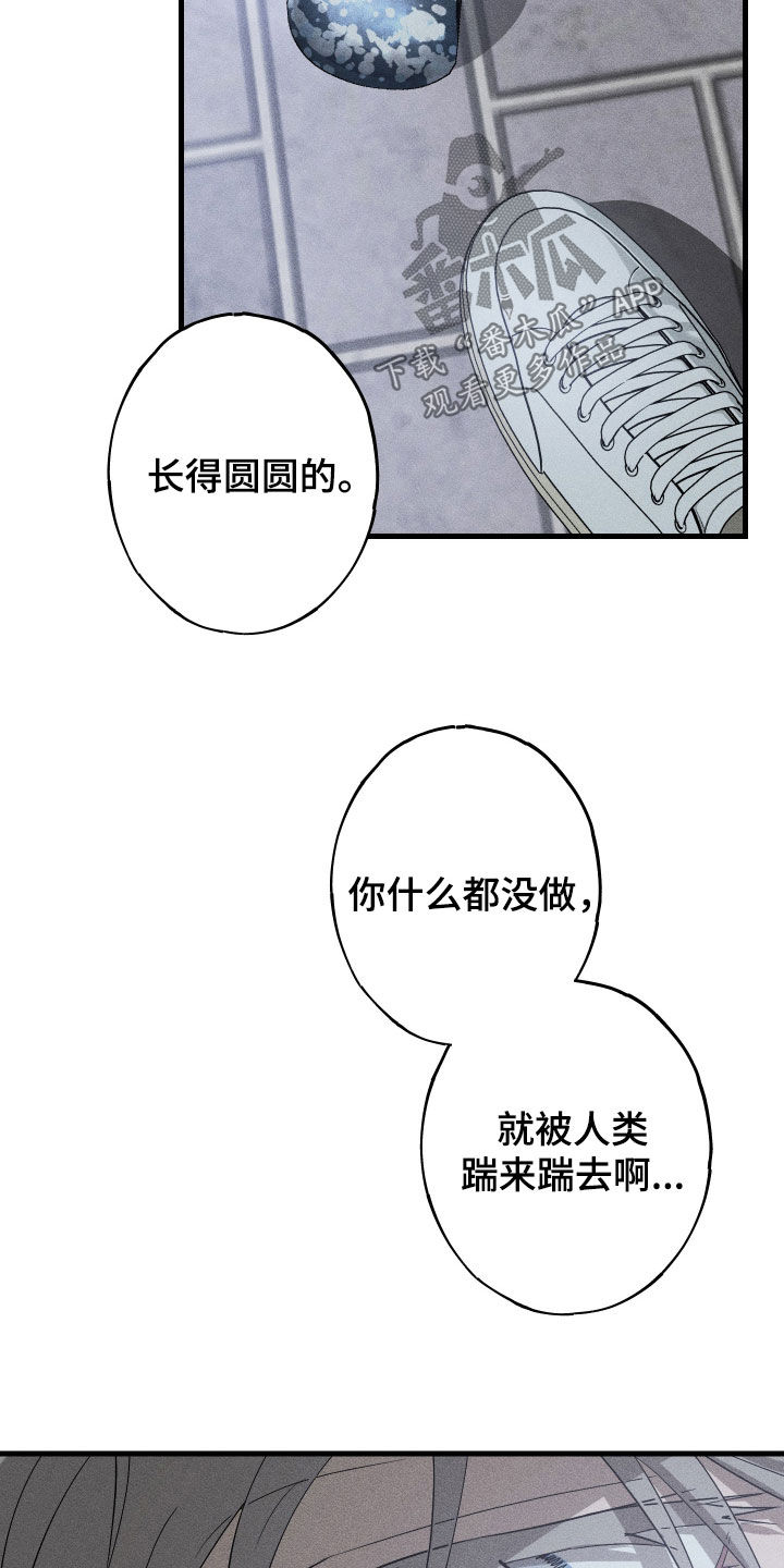 第20章：毁掉你的生活4