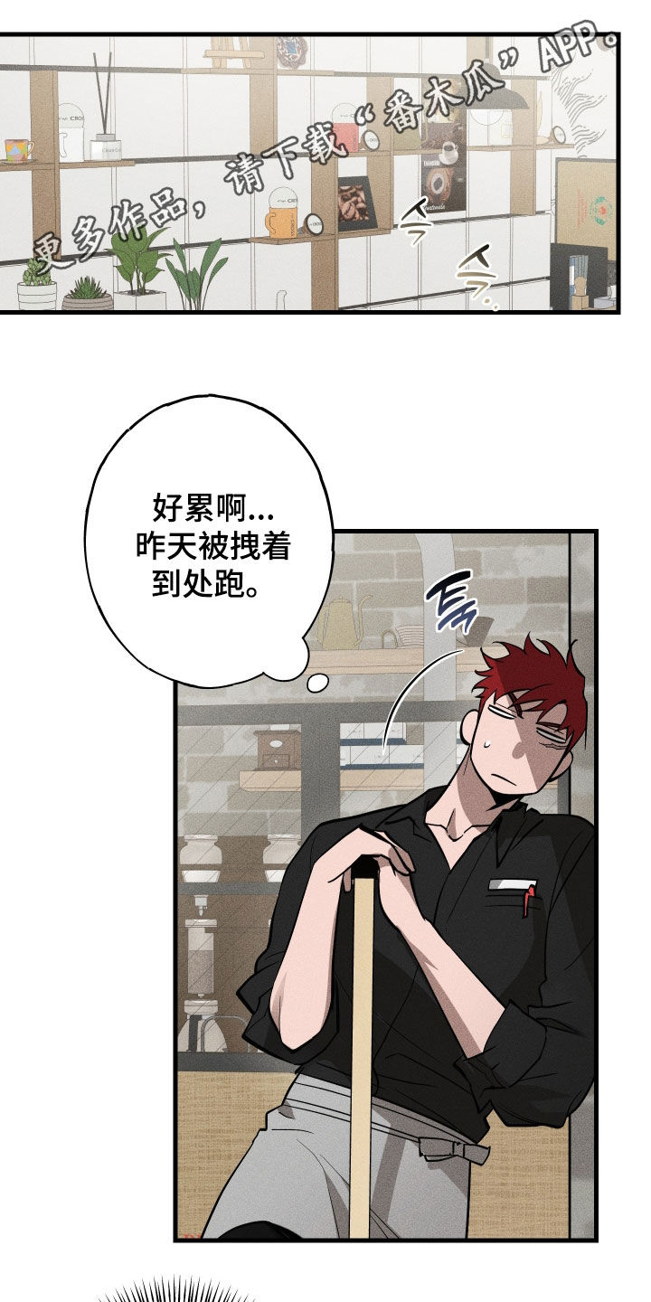 第15章：是爱情啊0