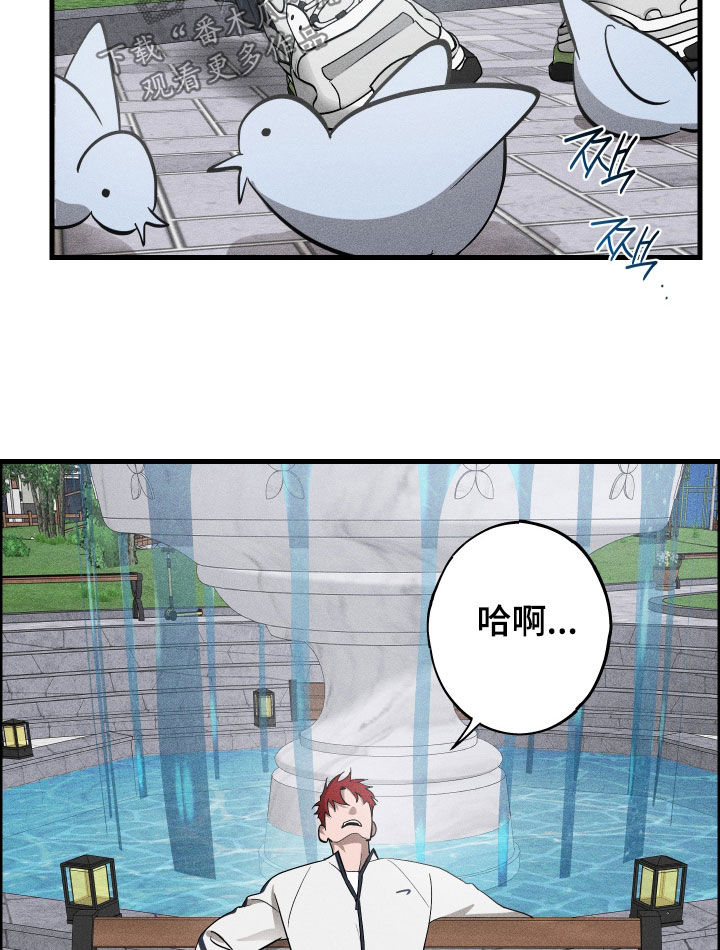 第15章：是爱情啊2