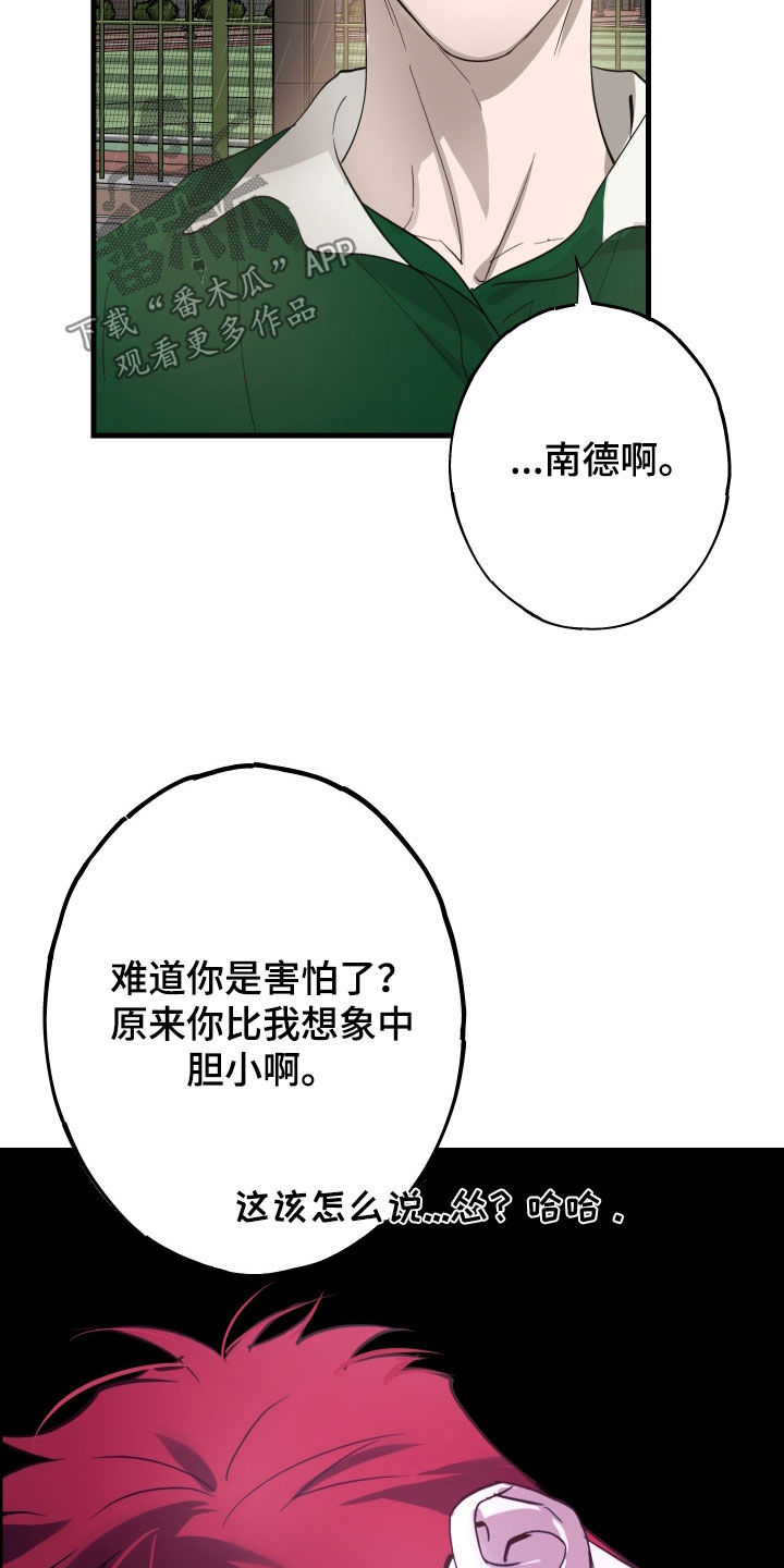 第12章：石头照片2