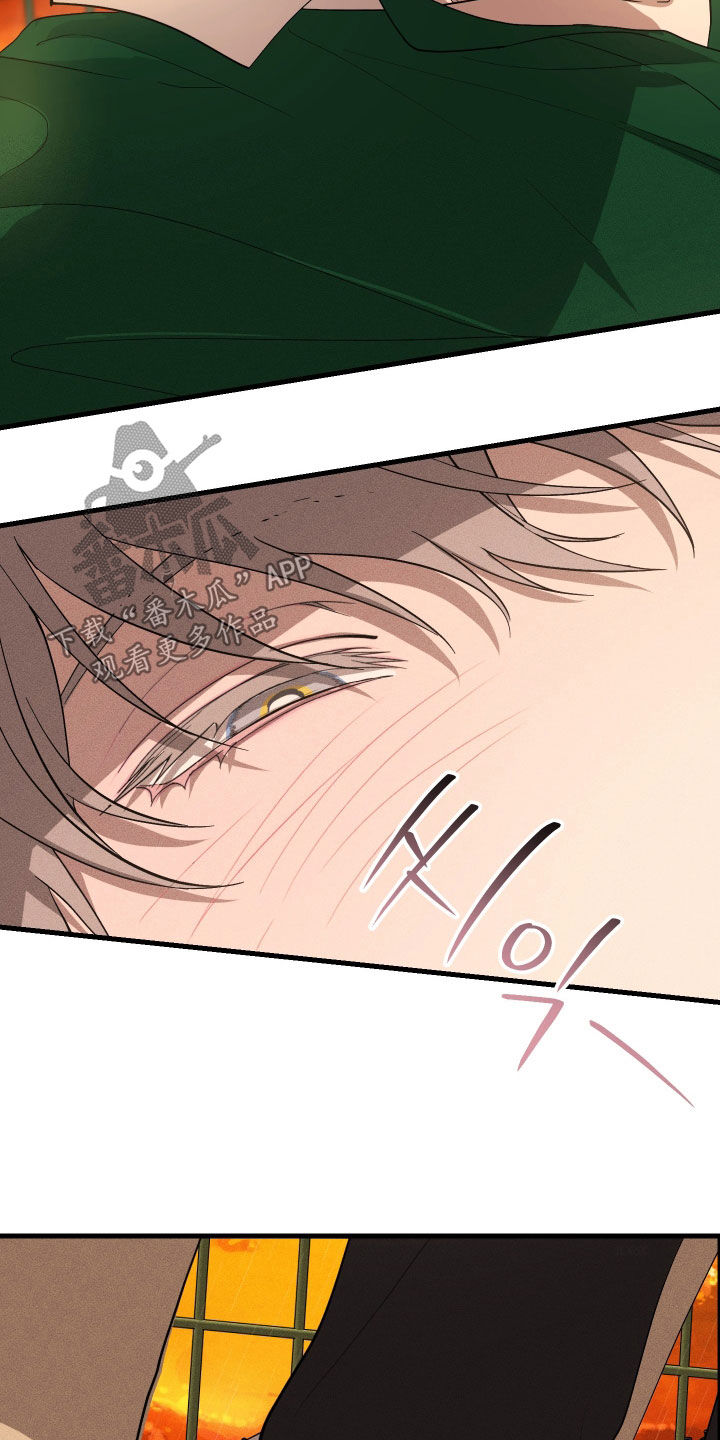 第12章：石头照片0