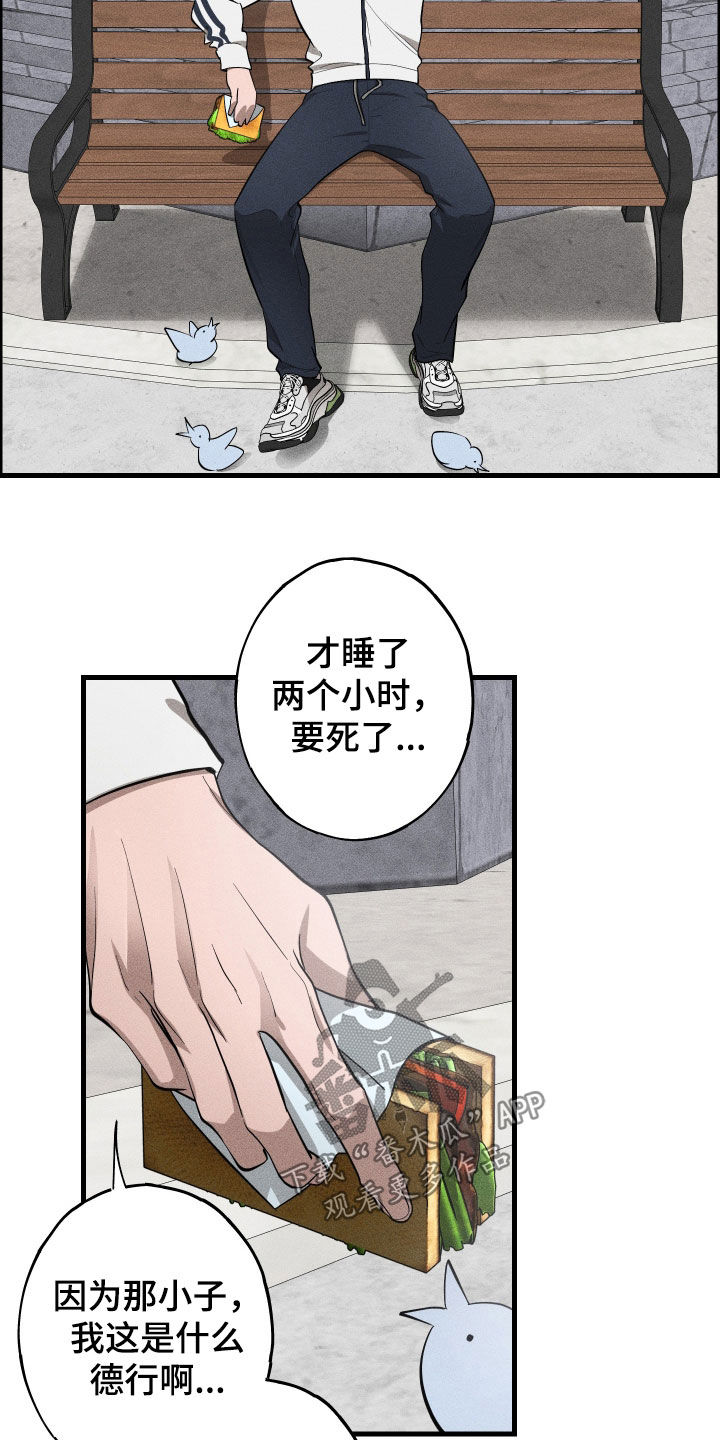 第15章：是爱情啊3