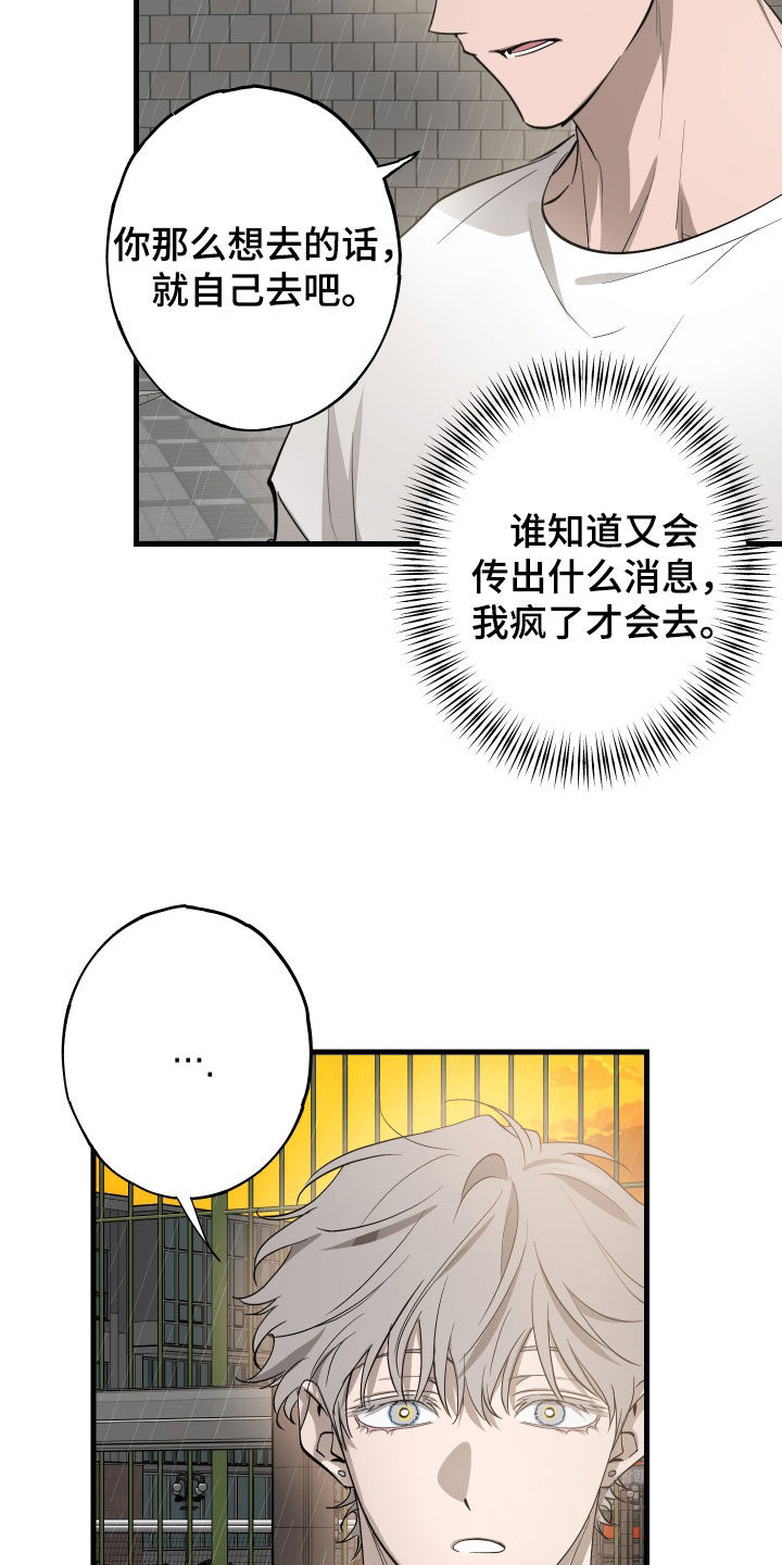 第12章：石头照片1