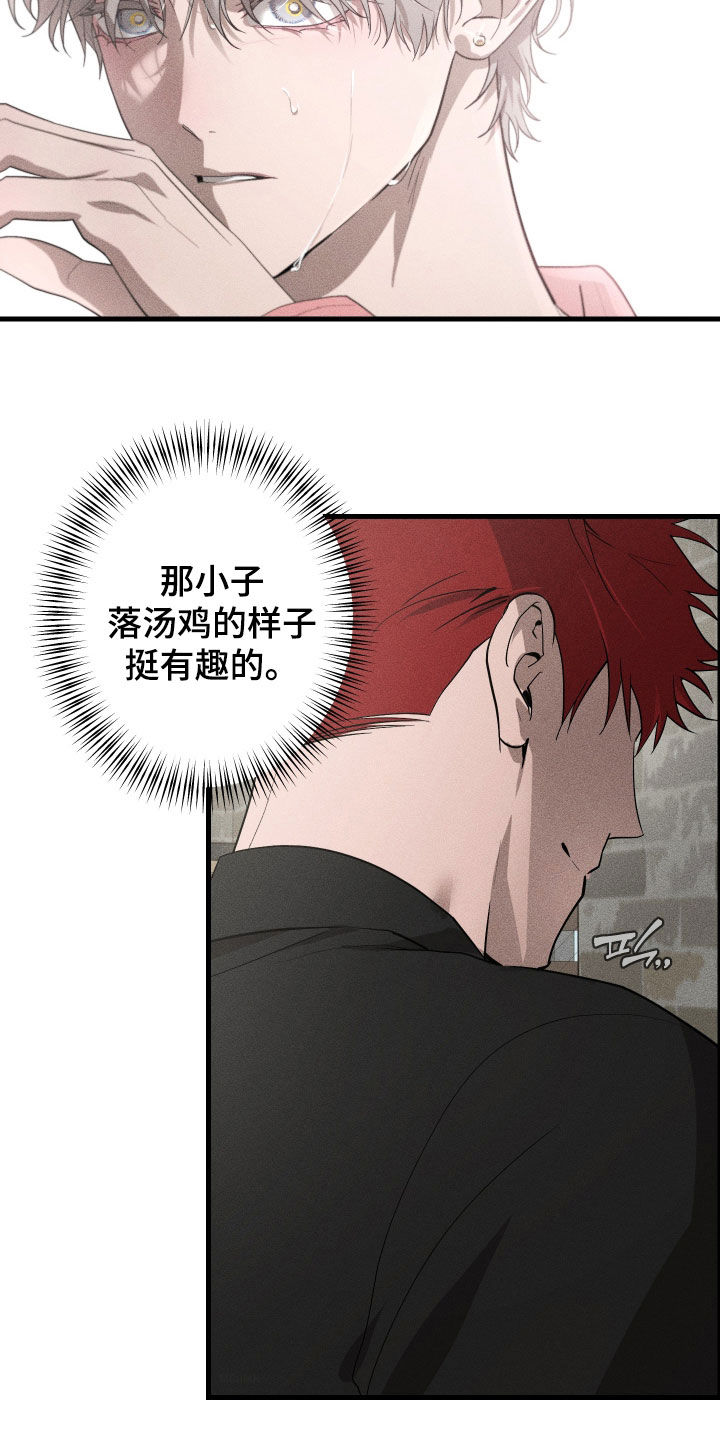 第15章：是爱情啊3