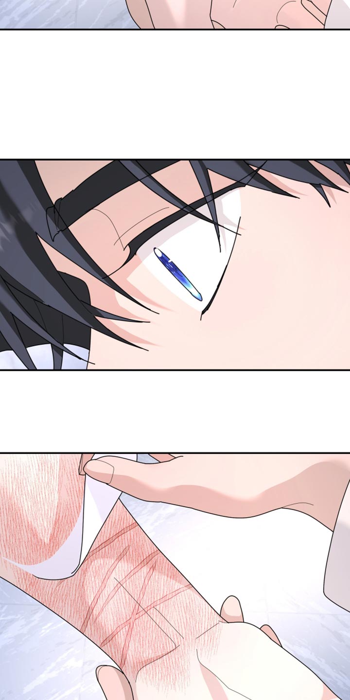 第216章：【第二季】不能得到原谅1