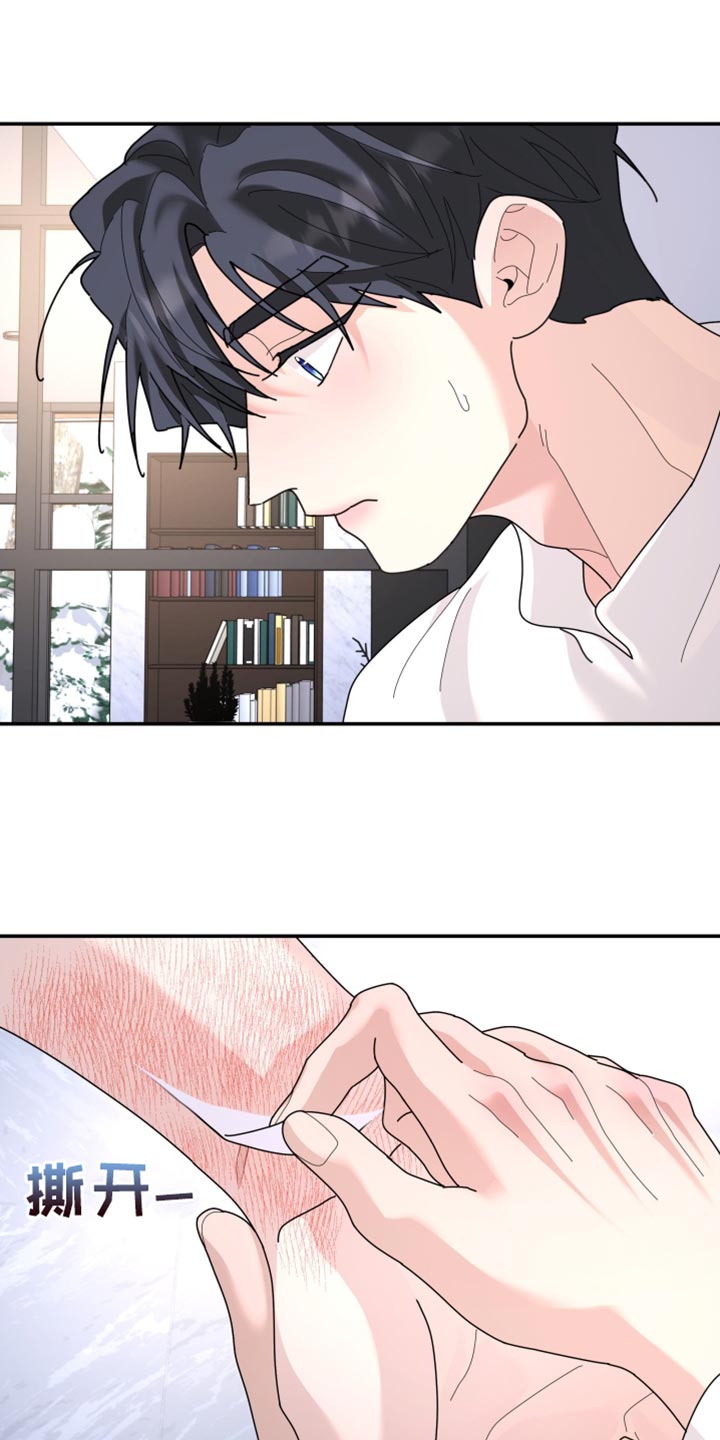 第216章：【第二季】不能得到原谅0