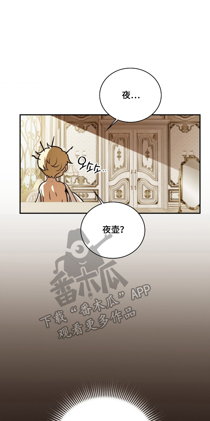 血冕之狮漫画,第20章：夜壶5图