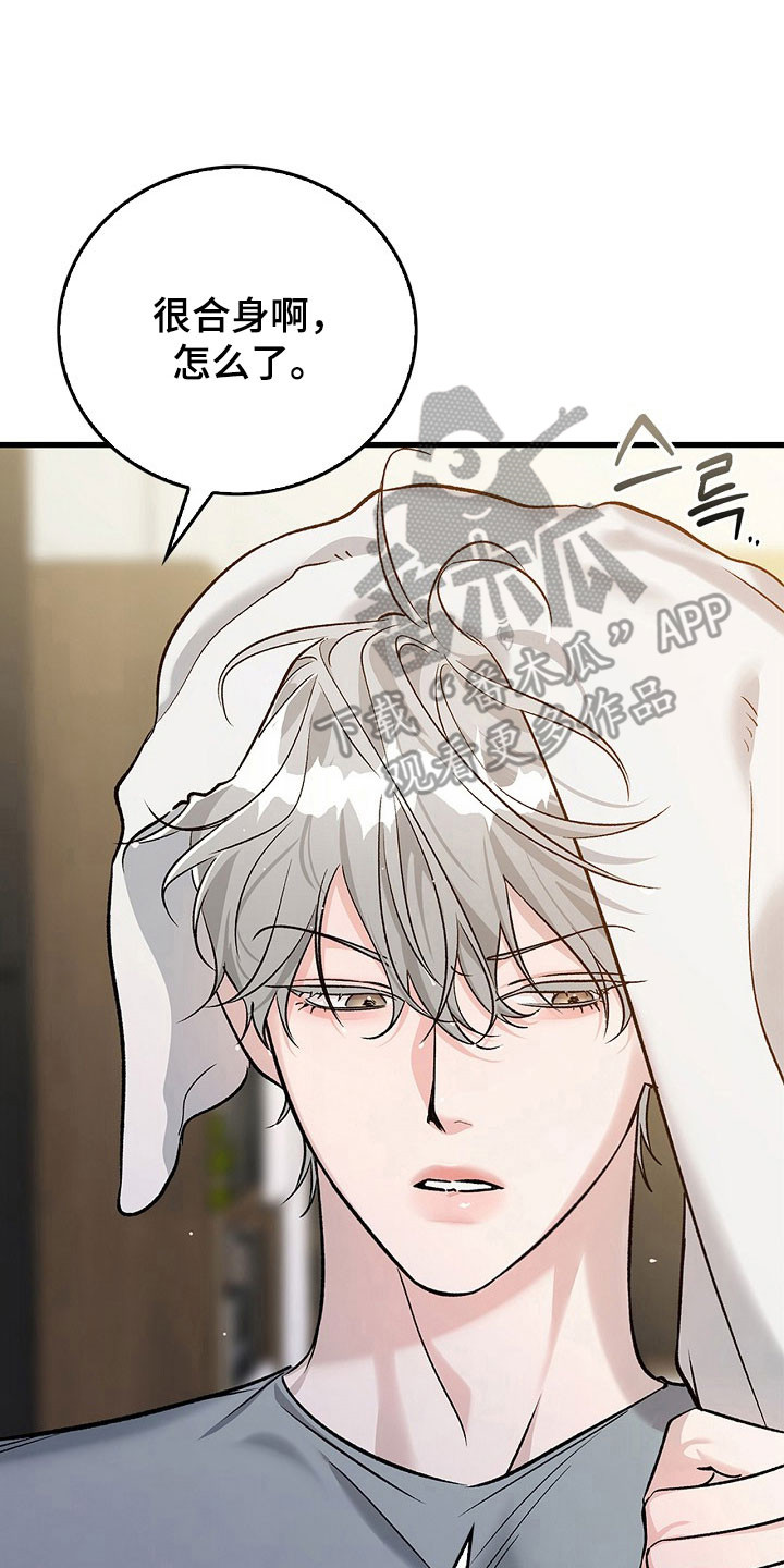 夜雾罪证漫画,第24章：没有罪证5图