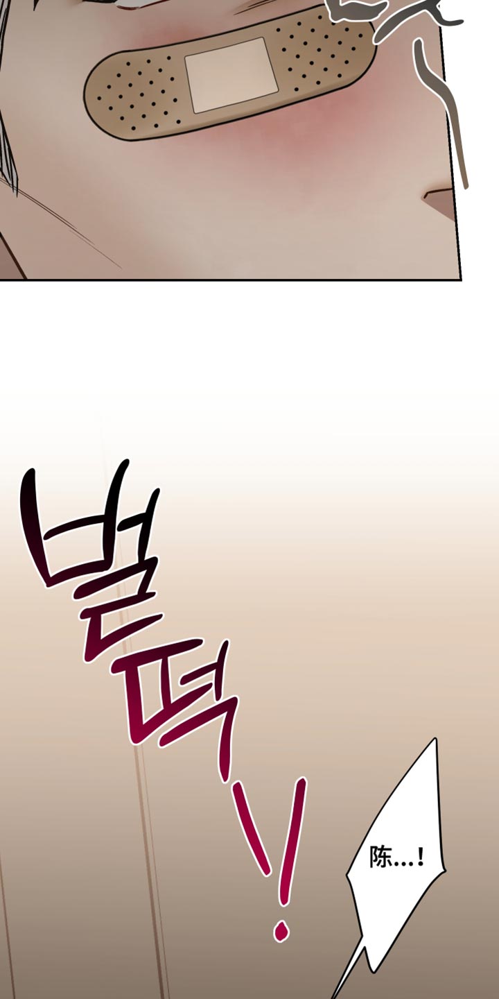 暗码夫妇漫画,第39章：招蜂引蝶5图