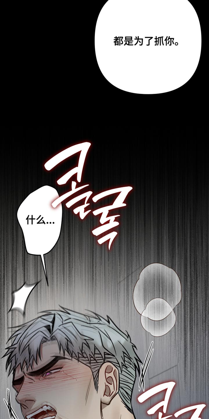 暗码交锋漫画,第43章：都是为了抓你2图