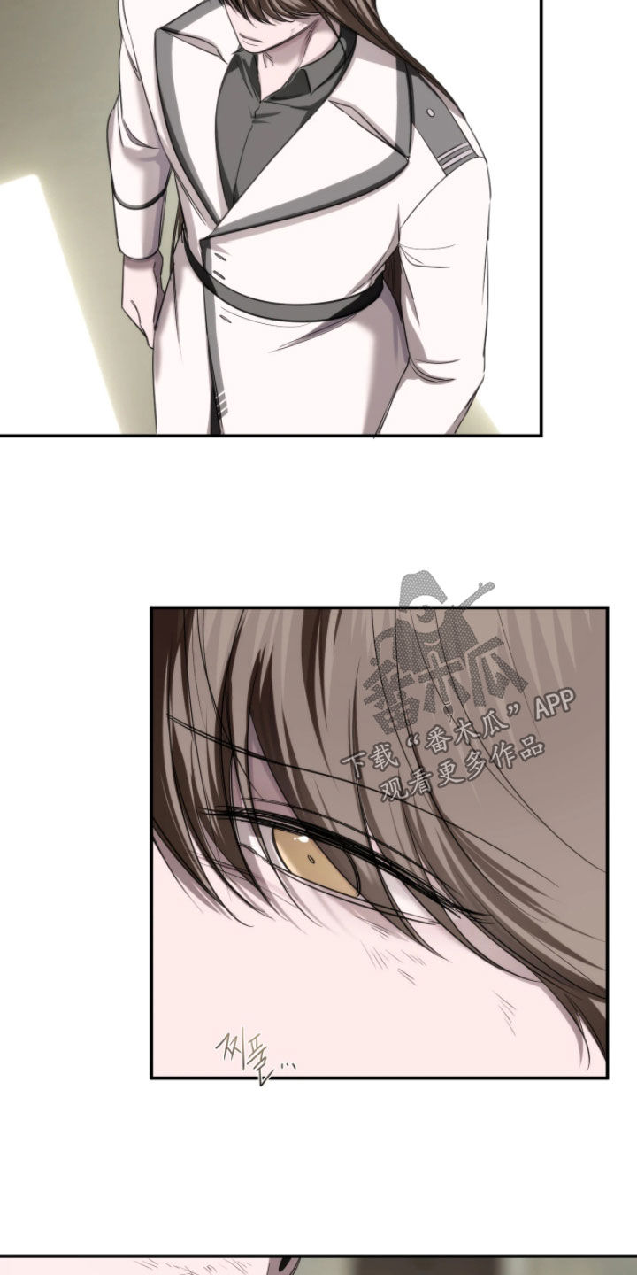 终愿囚徒恩佐人设漫画,第43章：汇报5图