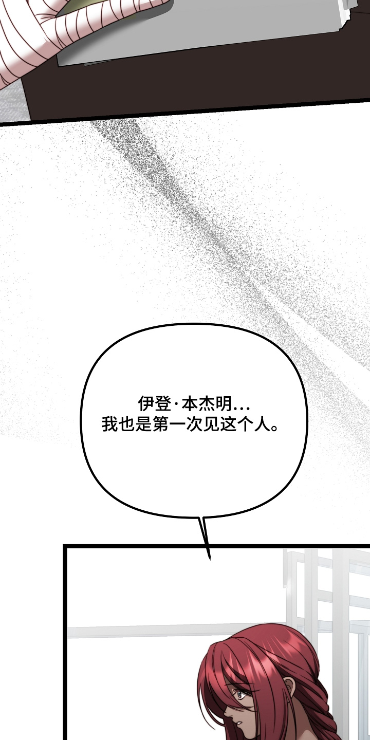 傀儡协战玩法技巧漫画,第47章：心情沉重4图
