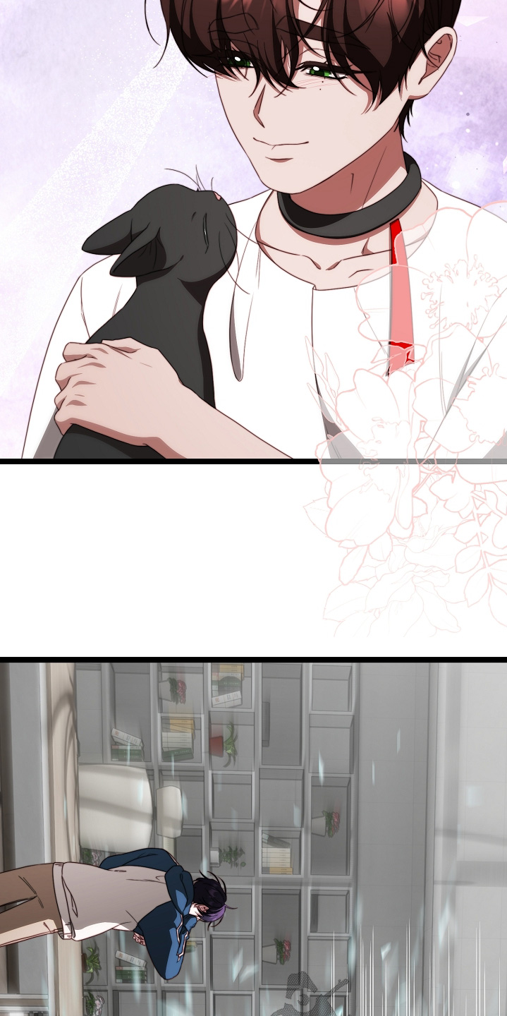 傀儡分流卡组漫画,第54章：该回家了2图