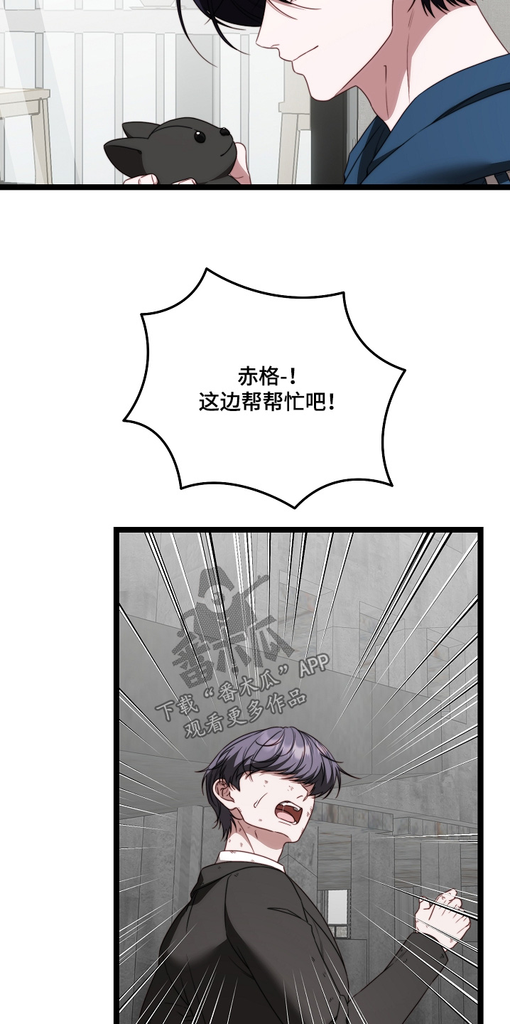 傀儡分流卡组漫画,第53章：玩偶4图