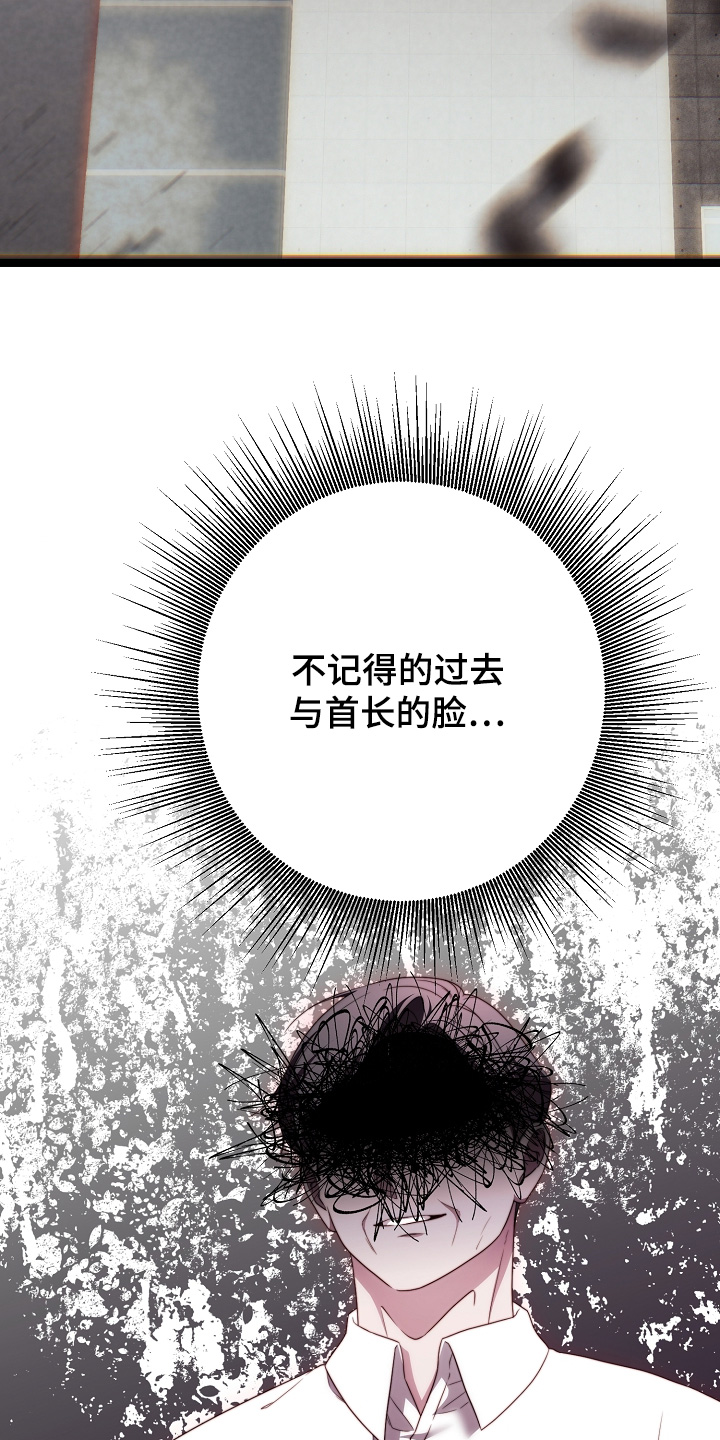 傀儡协约漫画,第51章：一见钟情2图