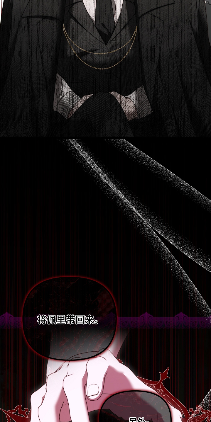 傀儡协约漫画,第52章：很快见面4图