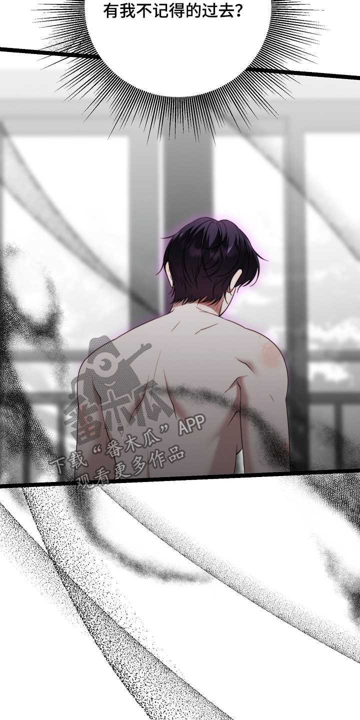 傀儡协约漫画,第51章：一见钟情5图