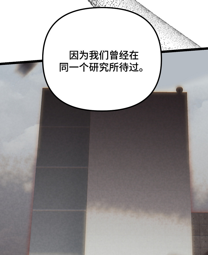 傀儡协约漫画,第51章：一见钟情1图