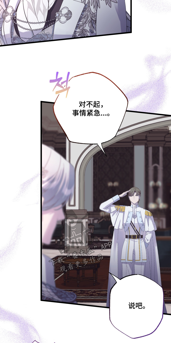 第19章：全员进攻3