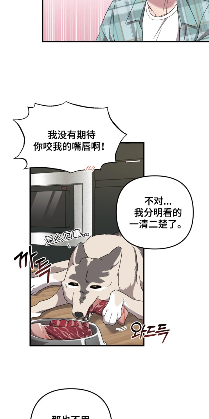 猛宠旧情漫画,第47章：不是空穴来风3图