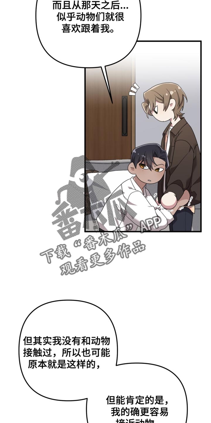 猛宠旧情漫画,第43章：我觉得很美3图