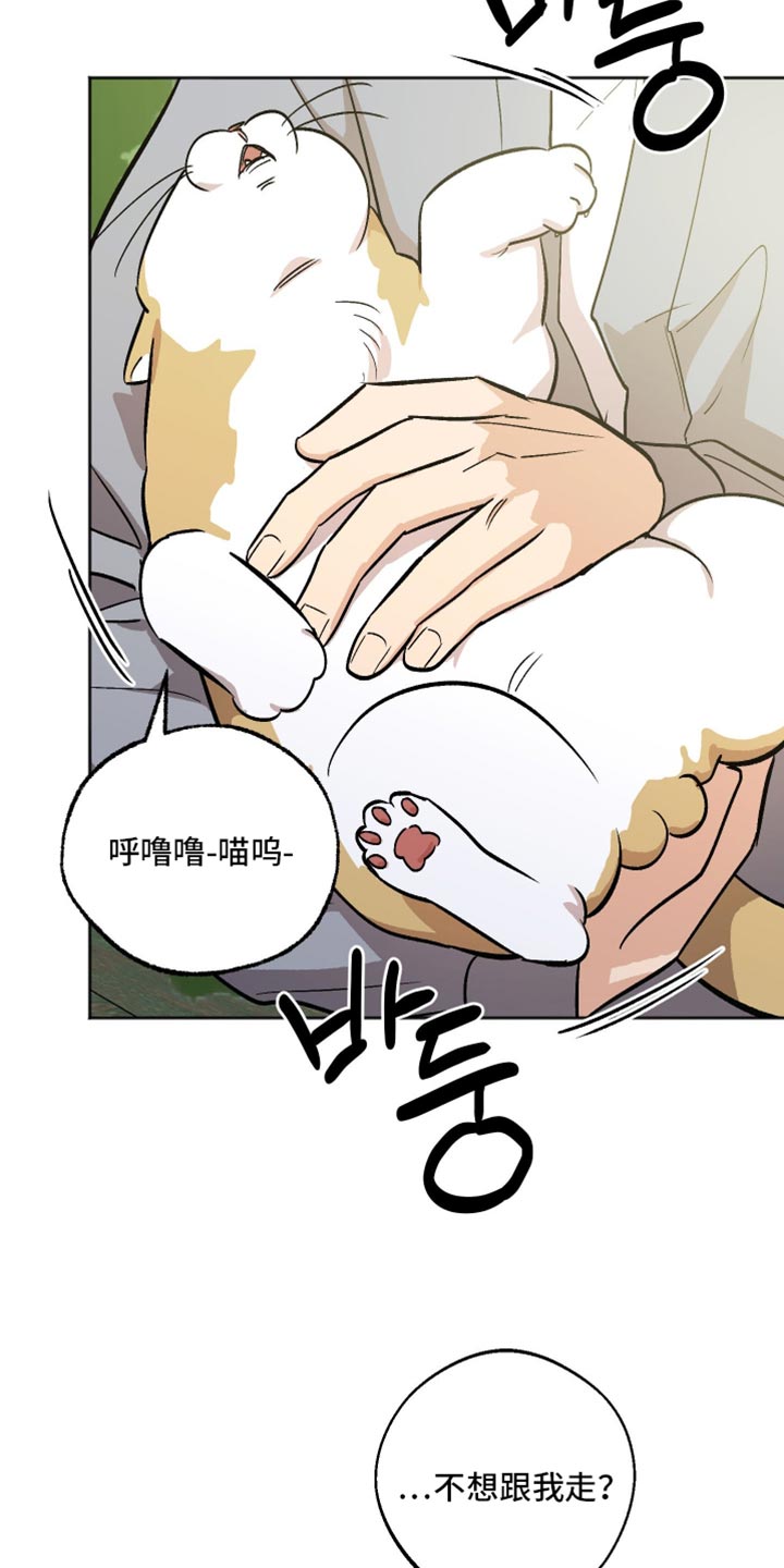 前世的祈愿漫画,第68章：我不想孤身一人3图