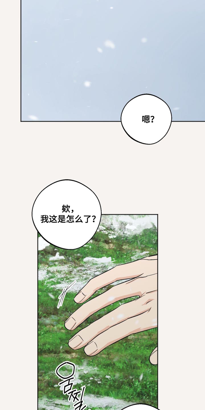 前世的祈愿漫画,第57章：我无法说明4图
