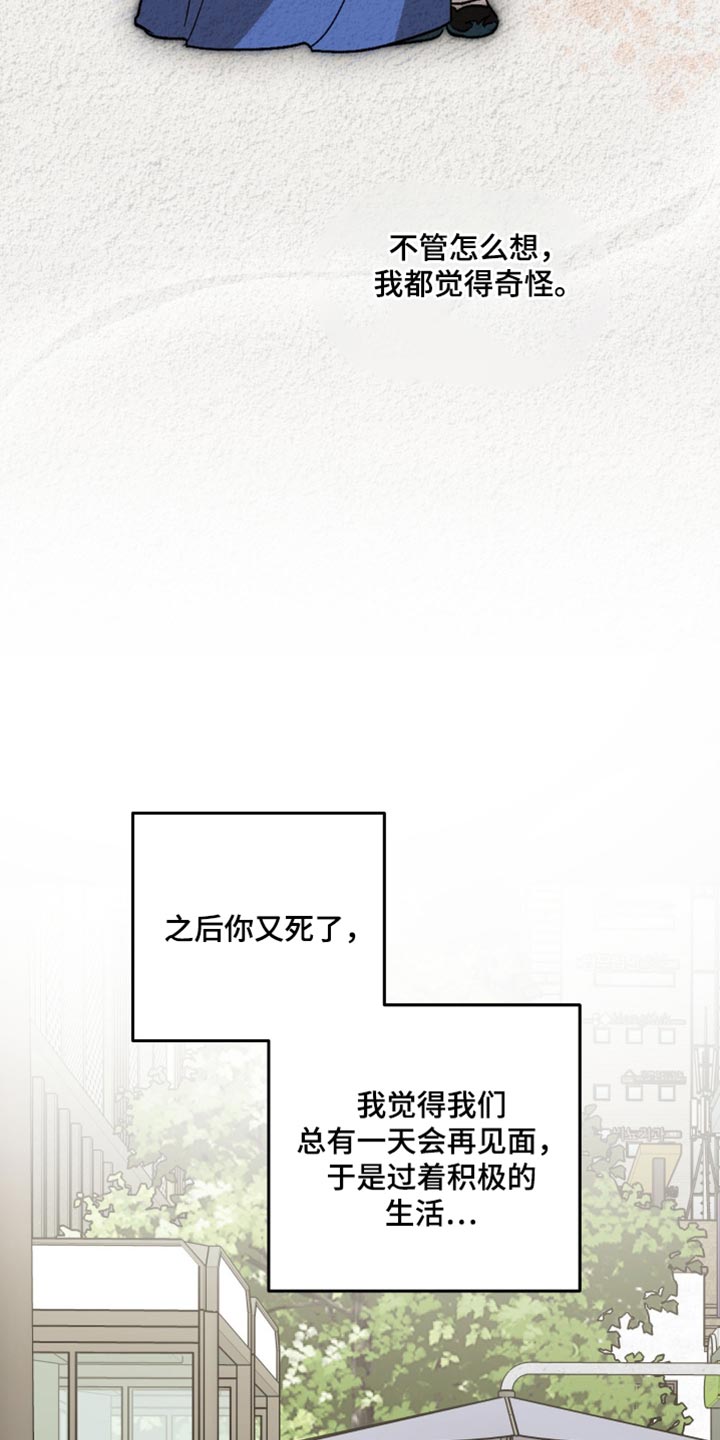 前世的祈愿漫画,第62章：再见到你就很高兴4图
