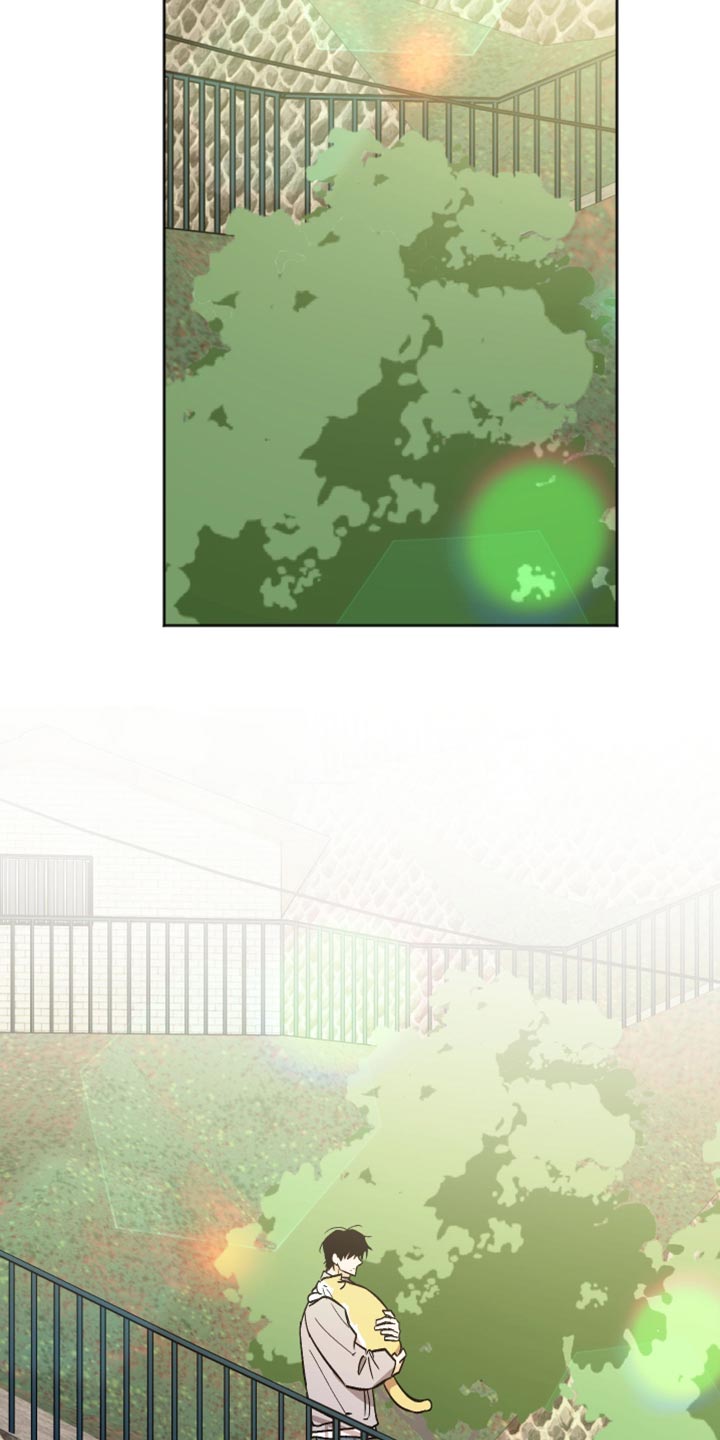 前世的祈愿漫画,第69章：我一整天都在看着你3图
