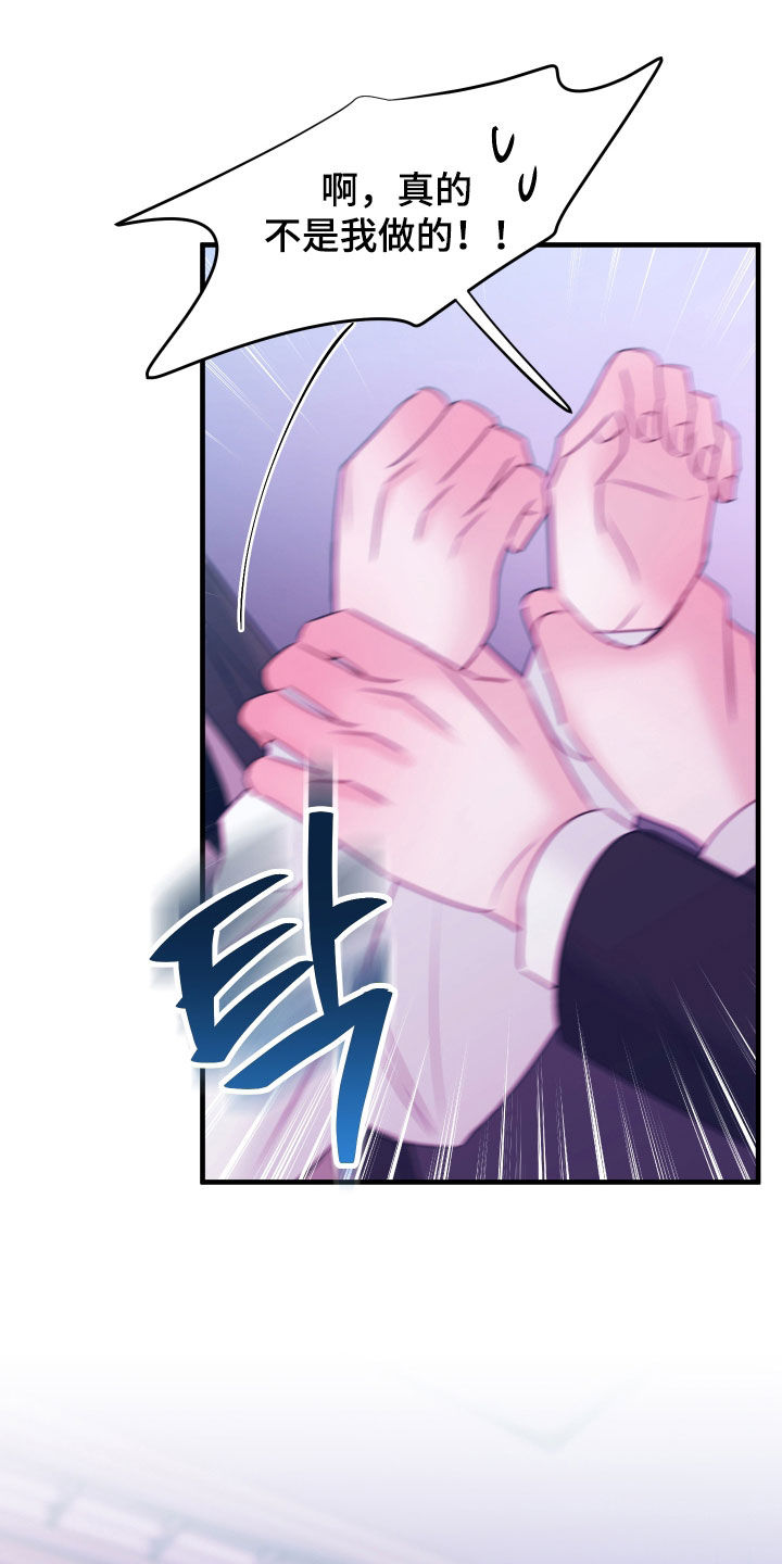 我是完美反派第25章漫画,第50章：不是我做的2图