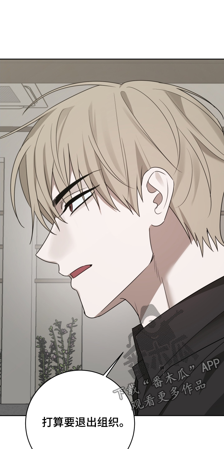 绯色默示漫画更新漫画,第52章：要退出4图