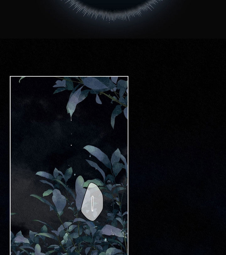 雨无痕漫画免费版在线阅读漫画,第59章：月亮很漂亮5图