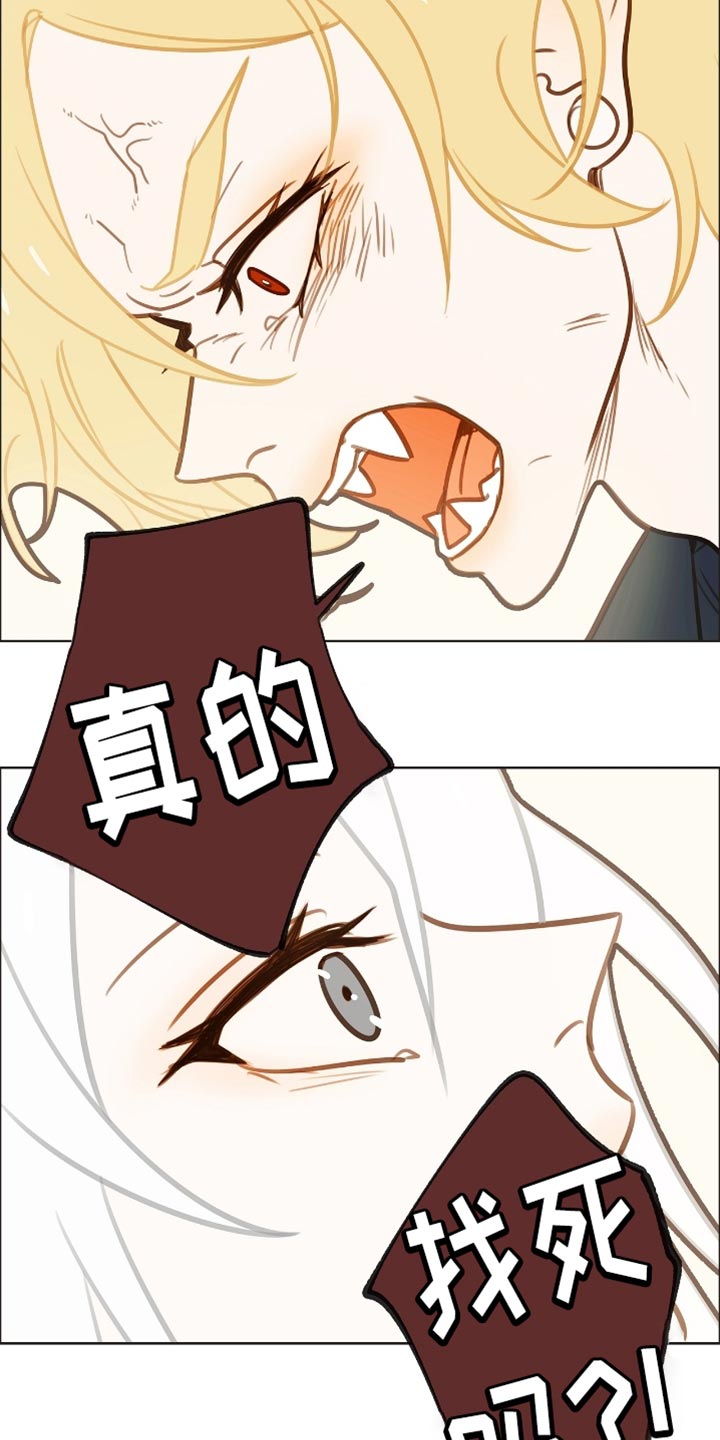 魔渊誓约漫画,第46章：找死吗2图
