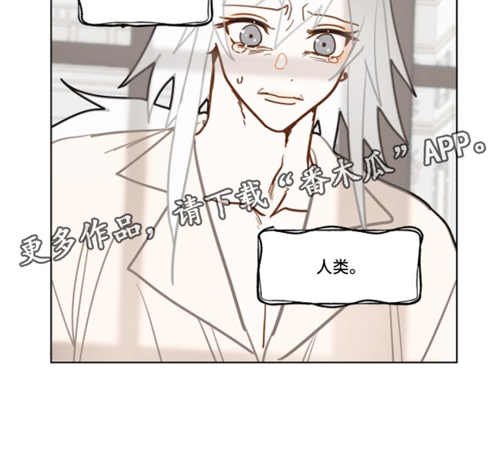 魔渊誓约漫画,第49章：尊重4图