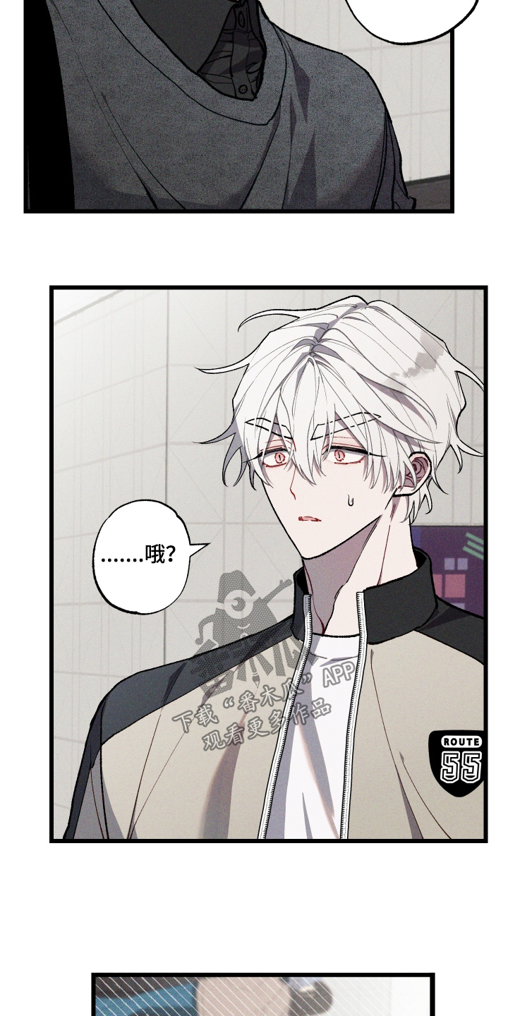 命运的名字漫画,第45章：照片3图