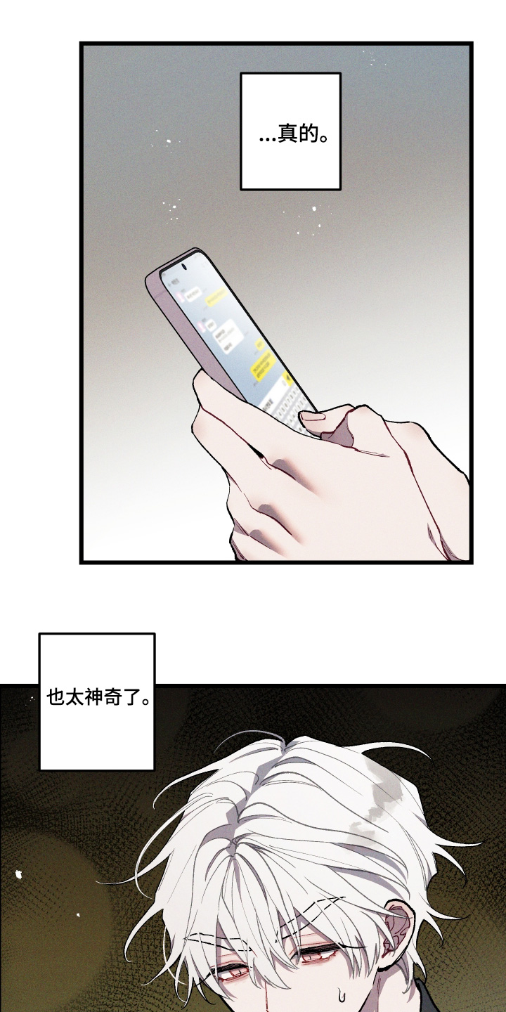 命运的名字漫画,第45章：照片5图