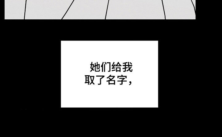 逃离地下室漫画,第37章：身世1图